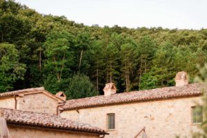 In questa foto uno scorcio del bosco che circonda Spao Borgo San Pietro e che è possibile visitare con passeggiate guidate