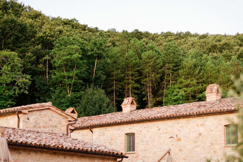 In questa foto uno scorcio del bosco che circonda il borgo per matrimoni Umbria Spao Borgo San Pietro e che è possibile visitare con passeggiate guidate 