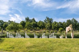 en::Wedding| it::Matrimoni