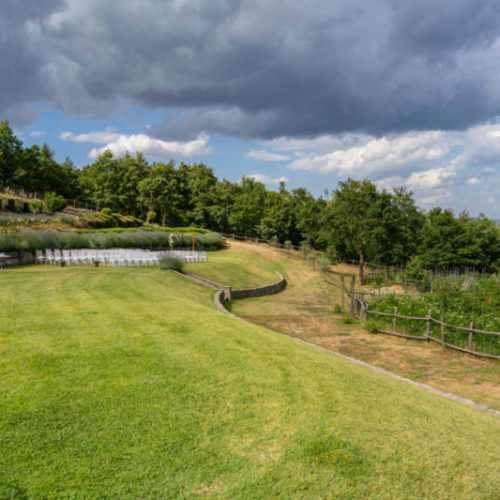 San Pietro Aquaeortus veduta del giardino